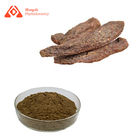 Pure Plant Extract Herba Cistanches Extract For Delay Aging Brown Yellow Fine Powder 80 Mesh