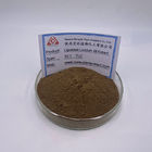 Seed Part Organic Ligustrum Lucidum Extract 10:1 Food Grade Powder 80 Mesh