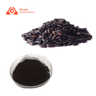 25% Anthocyandins Natural Plant Extract Food Supplement Black Rice Extract