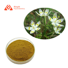 Swertia Bimaculata Pure Plant Extract For Hair Loss Treatment