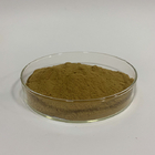 Angelica Natural Dong Quai Extract 80 Mesh Angelica Sinensis Extract