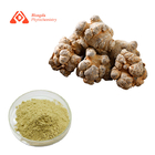 80 Mesh Pure Natural Panax Notoginseng Extract Drum Packaging