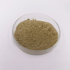 4% Polyphenol 80 Mesh Echinacea Purpurea Extract Powder Brown Yellow Powder