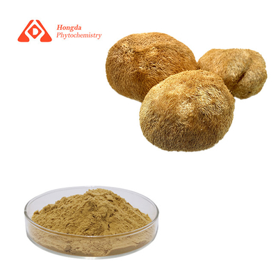 30% Polysaccharide Lions Mane Mushroom Powder Hericium Erinaceus Extract Powder