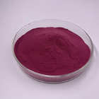Organic Blueberry Extract Powder For Skin Antioxidant 80 Mesh