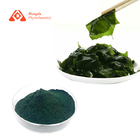 Food Grade Pure Plant Extract Spirulina Extract Powder Drum Packaging