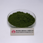 Dark Green 58% Protein Chlorella Powder Food Additives Chlorella Vulgaris Powder