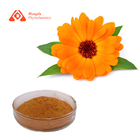 Pure Natural Marigold Extract Food Grade Flower Part Zeaxanthin Powder