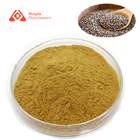 Brown Yellow Seed Part Pure Plant Extract 80 Mesh Chia Seed Extract