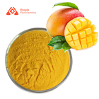 Amchur Herbal Pure Plant Extract Organic Mangifera Indica Extract 80 Mesh
