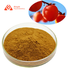 Antioxidants Pure Plant Extract Organic Persimmon Extract