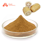 Brown Yellow Pure Plant Extract Lotus Root Extract For Regulate Blood Pressure