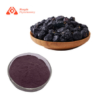 Health Care Black Goji Berry Extract Natural Wolfberry Extract Powder