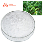 Dihydromyricetin 98% Organic Vine Tea Extract CAS 27200-12-0