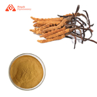 Pure Natural Cordyceps Militaris Extract Health Supplement