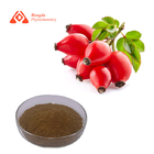 Fruit Part Natural Organic Rose Hips Extract 80 Mesh Relieving Pain
