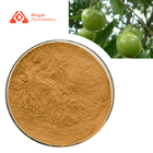 Pure Natural Sapindus Mukurossi Extract Sapindoside 40% Soap Nut Extract CAS 95851-50-6
