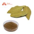 Natural Herb Loquat Leaf Extract Pure Organic Eriobotrya Japonica Leaf Extract