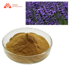 TLC Lavender Pure Plant Extract Lavandula Angustifolia Extract 80 Mesh