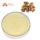 CAS 520-18-3 Pure Kaempferia Galanga Root Extract 98% Kaempferol Powder