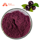 Pure Natural Antioxidant Ingredients Acai Berry Extract Powder 80 Mesh