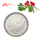 Pure Natural Uva Ursi Leaf Extract Powder 98% Ursolic Acid CAS No.77-52-1