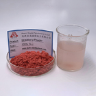 Strawberry Juice Extract Powder Natural Freeze Dried Strawberry Powder