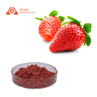 Strawberry Juice Extract Powder Natural Freeze Dried Strawberry Powder