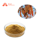 Poplar Flower Extract Feed Additives Brown Yellow Fine Powder