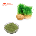 Food Grade Natural Barley Grass Juice Powder