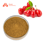 Pure Natural Cornus Officinalis Extract Dogwood Extract Brown Yellow Fine Powder