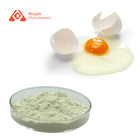 Food Grade Chicken Egg Albumen Powder High Gel And High Whip
