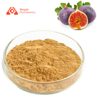 Pure Natural Organic Fig Extract Powder Ficus Carica Extract Improve Digestion