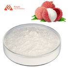 Natural Pure Plant Extract Lychee Juice Powder For Instant Solid Drinks