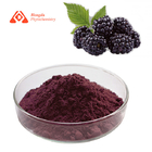 Pure Mulberry Fruit Extract Powder Natural Colouring 80 Mesh