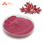Food Grade Pure Plant Extract roselle flower powder Plant Pigment 80 Mesh