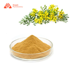 Natural Pure Plant Extract 80 Mesh Ruta Graveolens L Powder