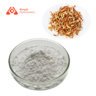 NHDC Pure Plant Extract Tangerine Peel Powder 98% Neohesperidin Dihydrochalcone