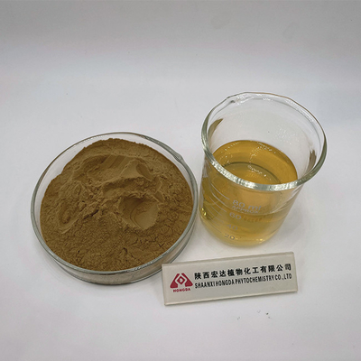 30% Polysaccharide Lions Mane Mushroom Powder Hericium Erinaceus Extract Powder