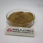 30% Polysaccharide Lions Mane Mushroom Powder Hericium Erinaceus Extract Powder