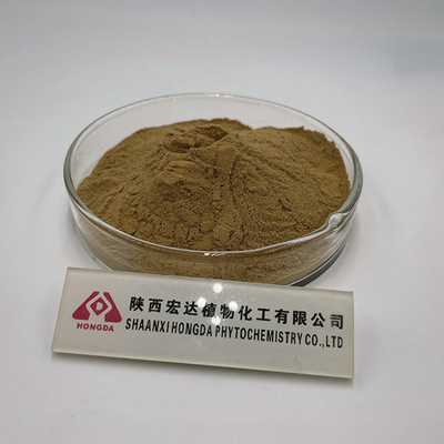 30% Polysaccharide Lions Mane Mushroom Powder Hericium Erinaceus Extract Powder