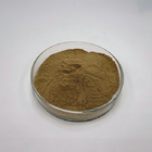 TLC Method Antiviral Pure Plant Extract Radix Isatidis Extract 80 Mesh Brown Powder