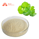 Natural Organic Centella Asiatica Extract 50% Asiaticoside Powder For Skin Care
