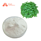Pure Natural Centella Asiatica Extract Madecassoside Powder 90% HPLC