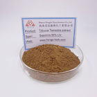 10:1 Tribulus Terrestris Extract Powder 95% Total Saponins