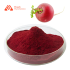 Food Grade Pure Plant Extract Red Radish Powder Pigment