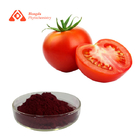 Food Grade Bulk Water Soluble Tomato Extracts Pure Nature Lycopene For Skin Whitening