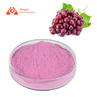 Natural Pure Plant Extract Grape Extract Fruit Powder For Beverage Ingredients