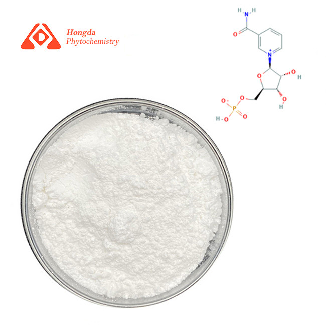 NMN Powder Nicotinamide Mononucleotide Ingredients For B2B Buyers