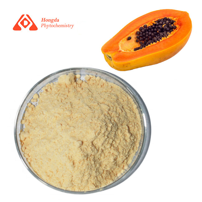 Organic Carica Papaya Juice Powder Improve Disease Resistance